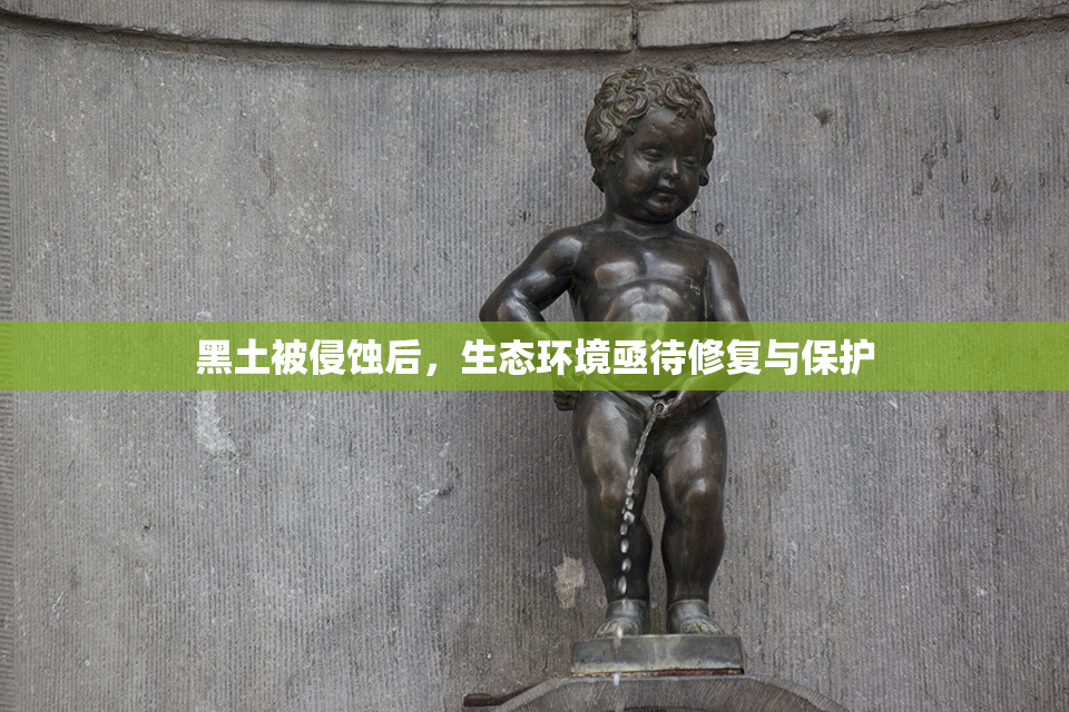 黑土被侵蚀后，生态环境亟待修复与保护