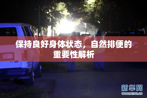 保持良好身体状态，自然排便的重要性解析