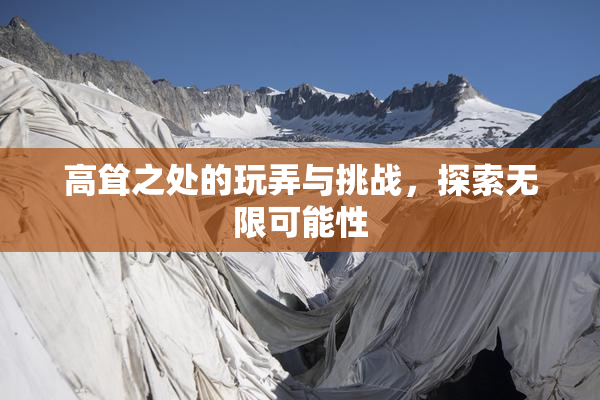 高耸之处的玩弄与挑战，探索无限可能性