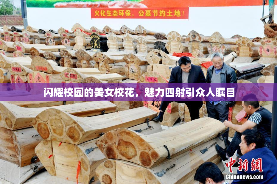 闪耀校园的美女校花，魅力四射引众人瞩目