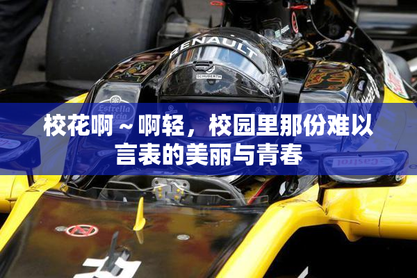 校花啊～啊轻，校园里那份难以言表的美丽与青春