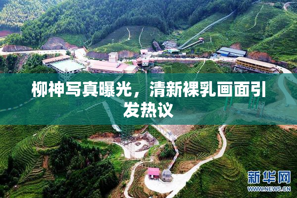 柳神写真曝光，清新裸乳画面引发热议