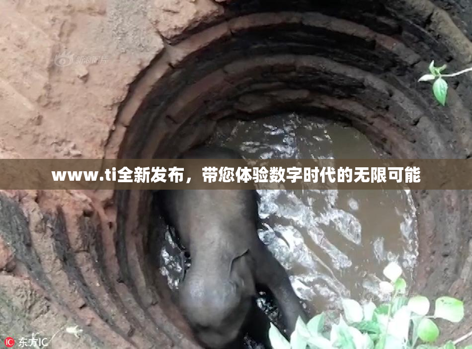 www.ti全新发布，带您体验数字时代的无限可能