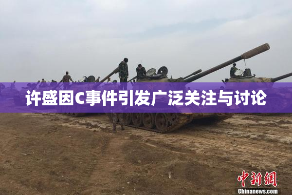 许盛因C事件引发广泛关注与讨论