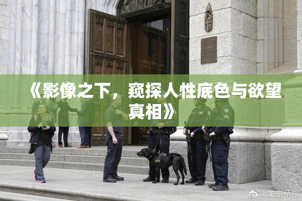 《影像之下，窥探人性底色与欲望真相》