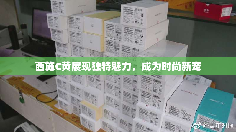 西施C黄展现独特魅力，成为时尚新宠
