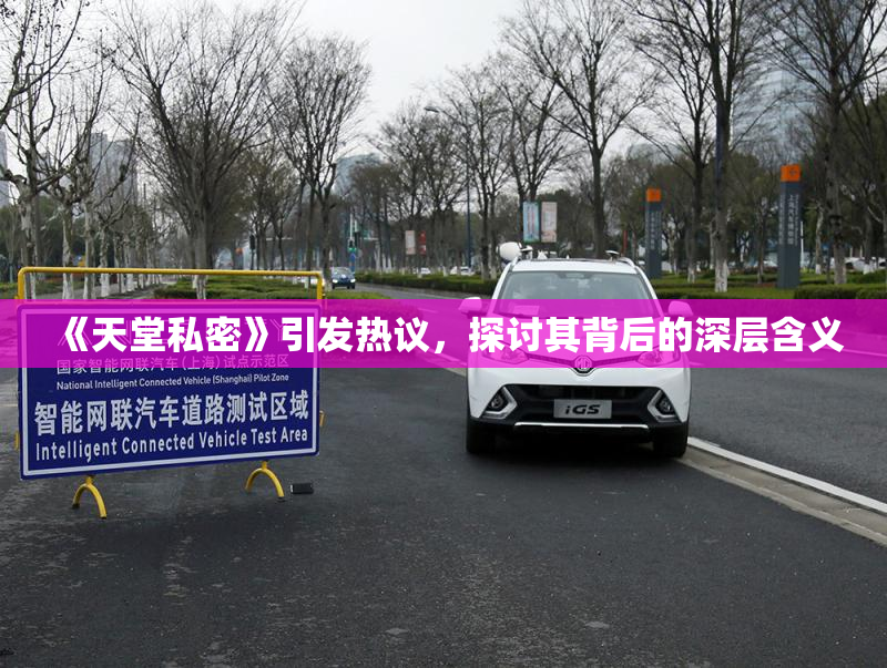 《天堂私密》引发热议，探讨其背后的深层含义