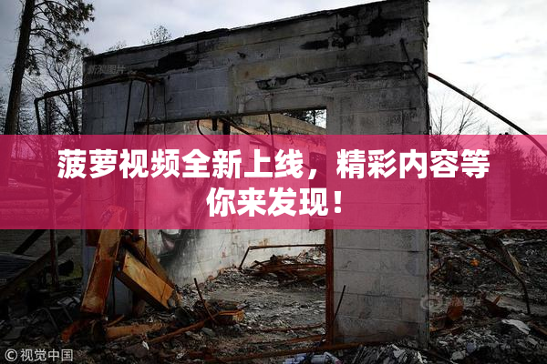 菠萝视频全新上线，精彩内容等你来发现！