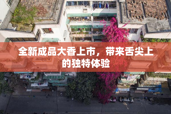 全新成品大香上市，带来舌尖上的独特体验