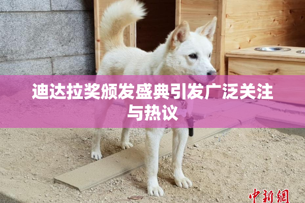 迪达拉奖颁发盛典引发广泛关注与热议