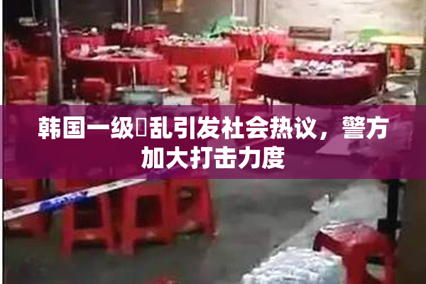 韩国一级婬乱引发社会热议，警方加大打击力度