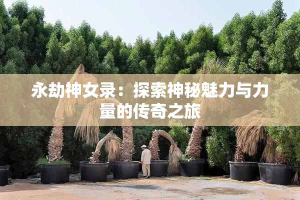 永劫神女录：探索神秘魅力与力量的传奇之旅