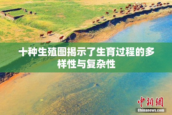 十种生殖图揭示了生育过程的多样性与复杂性