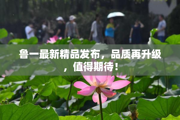 鲁一最新精品发布，品质再升级，值得期待！