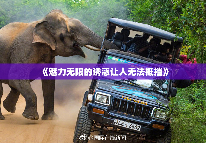 《魅力无限的诱惑让人无法抵挡》
