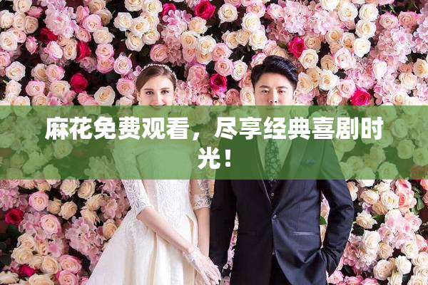 麻花免费观看，尽享经典喜剧时光！