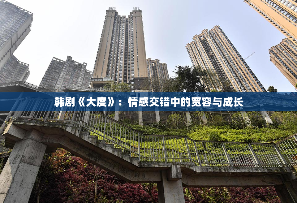 韩剧《大度》：情感交错中的宽容与成长