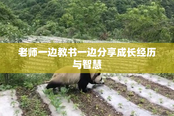 老师一边教书一边分享成长经历与智慧