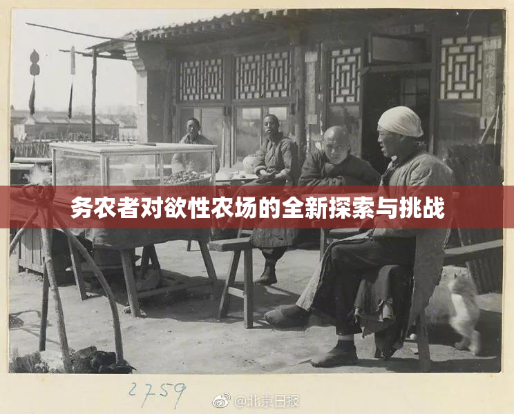 务农者对欲性农场的全新探索与挑战