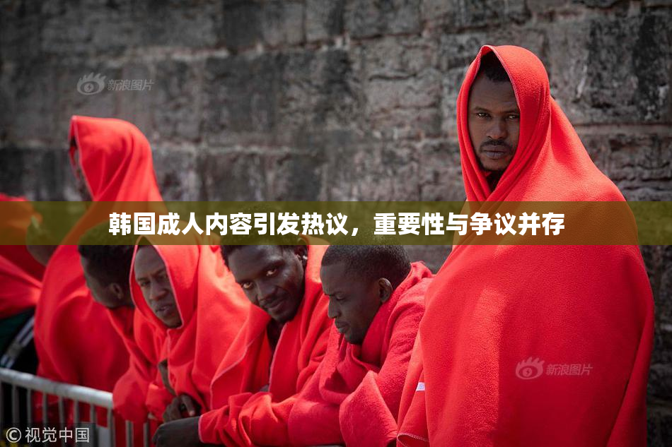 韩国成人内容引发热议，重要性与争议并存