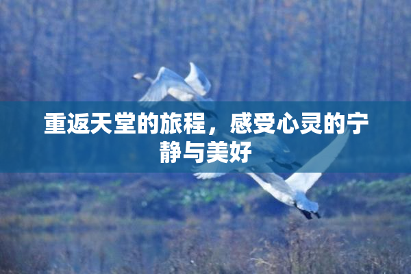 重返天堂的旅程，感受心灵的宁静与美好