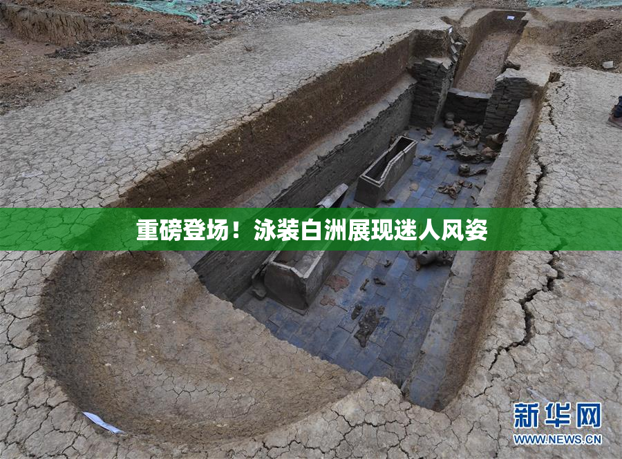 重磅登场！泳装白洲展现迷人风姿