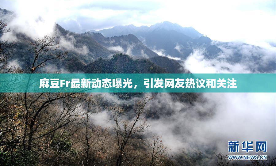 麻豆Fr最新动态曝光，引发网友热议和关注