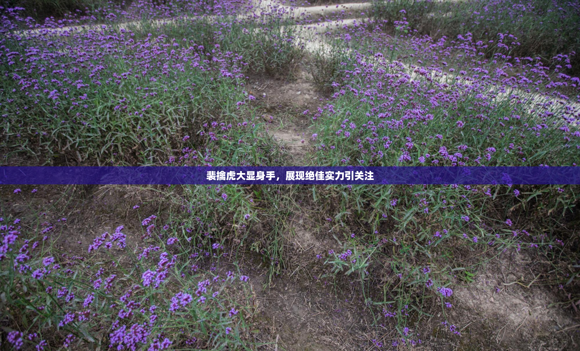 裴擒虎大显身手，展现绝佳实力引关注