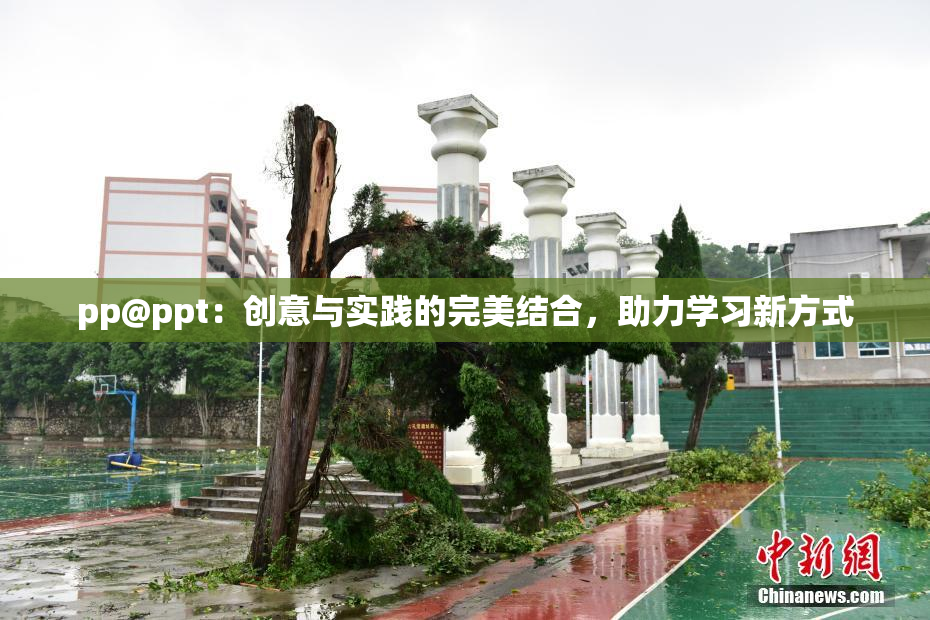 pp@ppt：创意与实践的完美结合，助力学习新方式