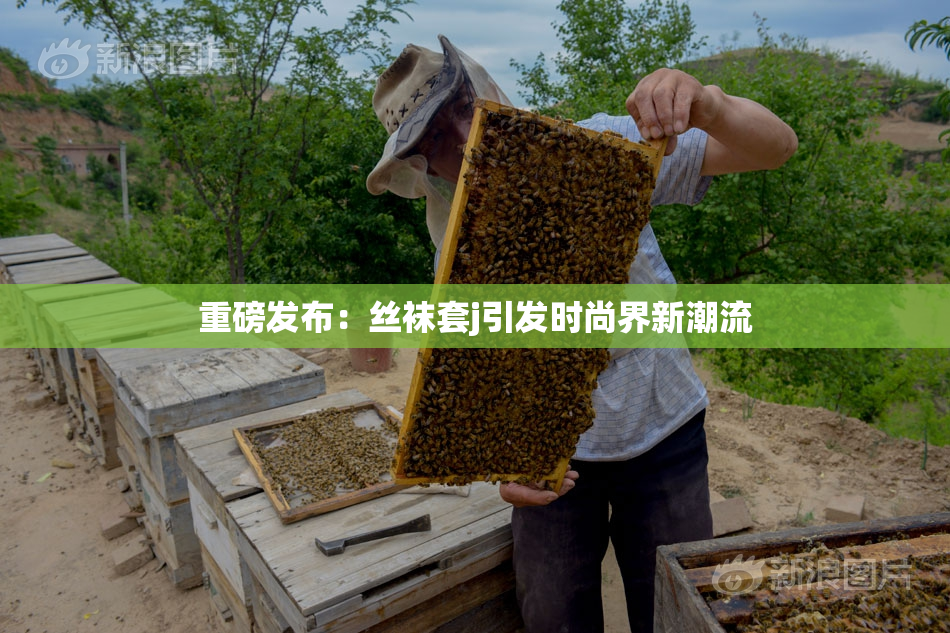 重磅发布：丝袜套j引发时尚界新潮流