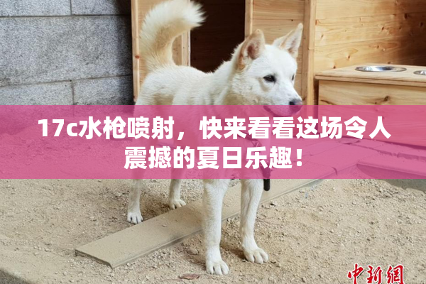 17c水枪喷射，快来看看这场令人震撼的夏日乐趣！