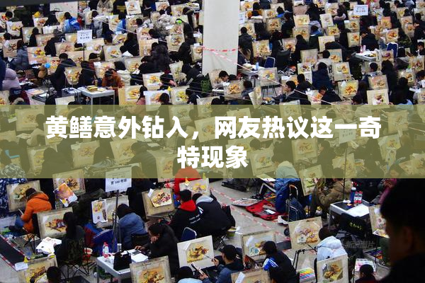 黄鳝意外钻入，网友热议这一奇特现象