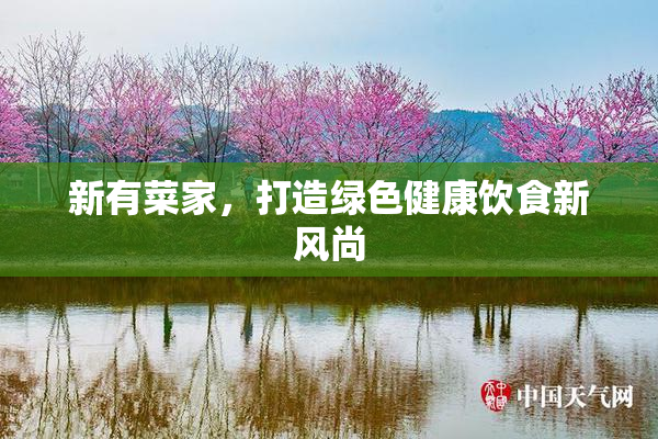 新有菜家，打造绿色健康饮食新风尚