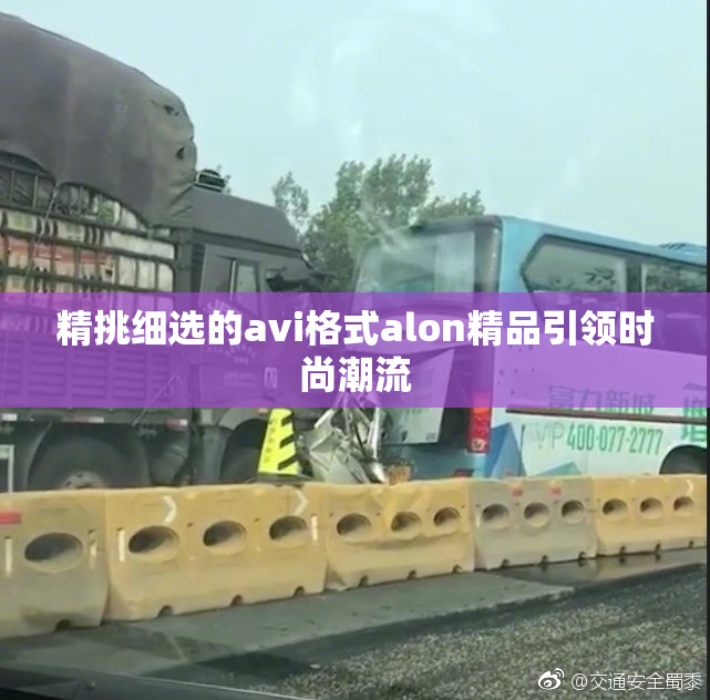 精挑细选的avi格式alon精品引领时尚潮流