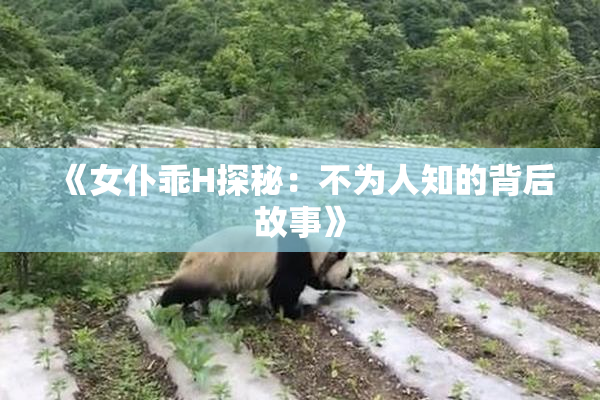 《女仆乖H探秘：不为人知的背后故事》