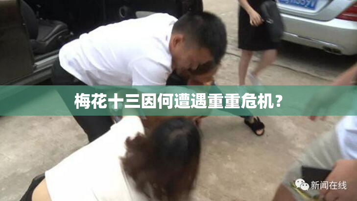梅花十三因何遭遇重重危机？