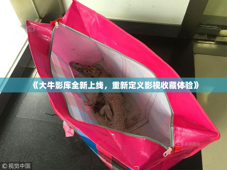 《大牛影库全新上线，重新定义影视收藏体验》
