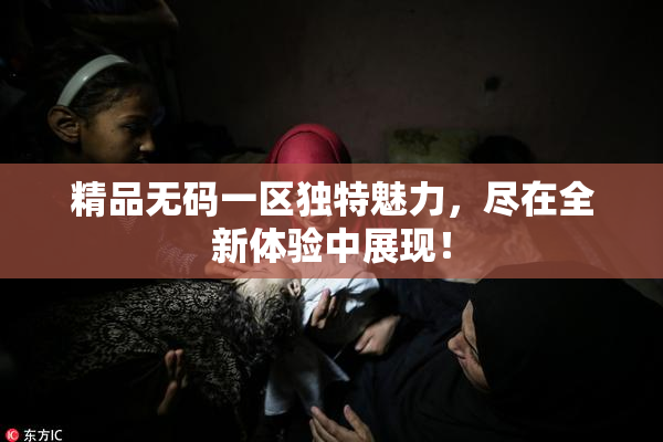 精品无码一区独特魅力，尽在全新体验中展现！