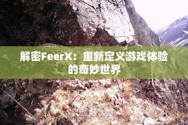 解密FeerX：重新定义游戏体验的奇妙世界