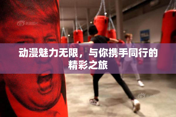 动漫魅力无限，与你携手同行的精彩之旅