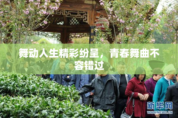 舞动人生精彩纷呈，青春舞曲不容错过