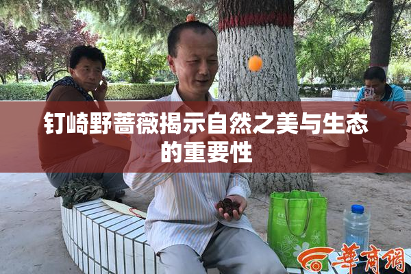 钉崎野蔷薇揭示自然之美与生态的重要性