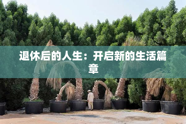退休后的人生：开启新的生活篇章