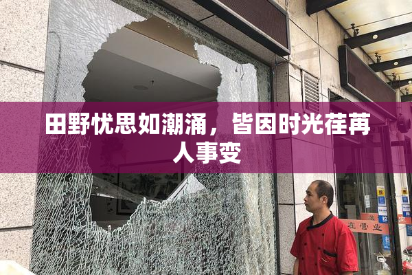 田野忧思如潮涌，皆因时光荏苒人事变