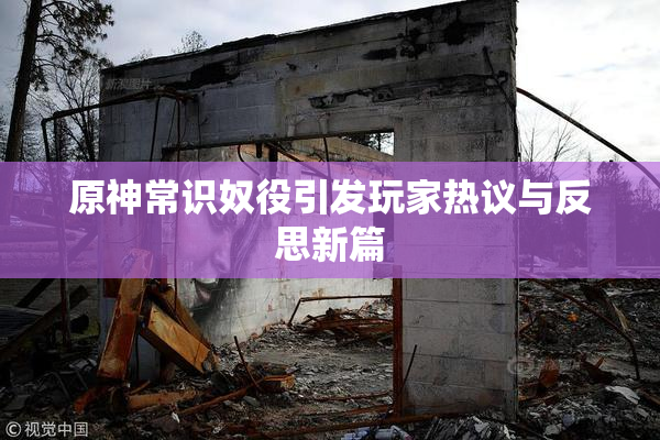 原神常识奴役引发玩家热议与反思新篇