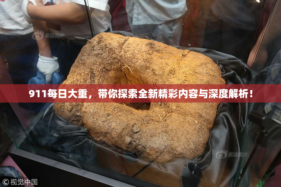 911每日大重，带你探索全新精彩内容与深度解析！