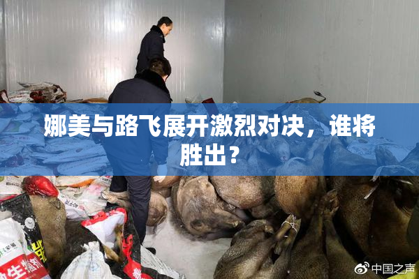 娜美与路飞展开激烈对决，谁将胜出？