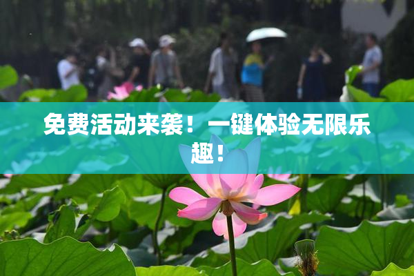 免费活动来袭！一键体验无限乐趣！