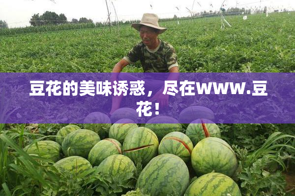 豆花的美味诱惑，尽在WWW.豆花！