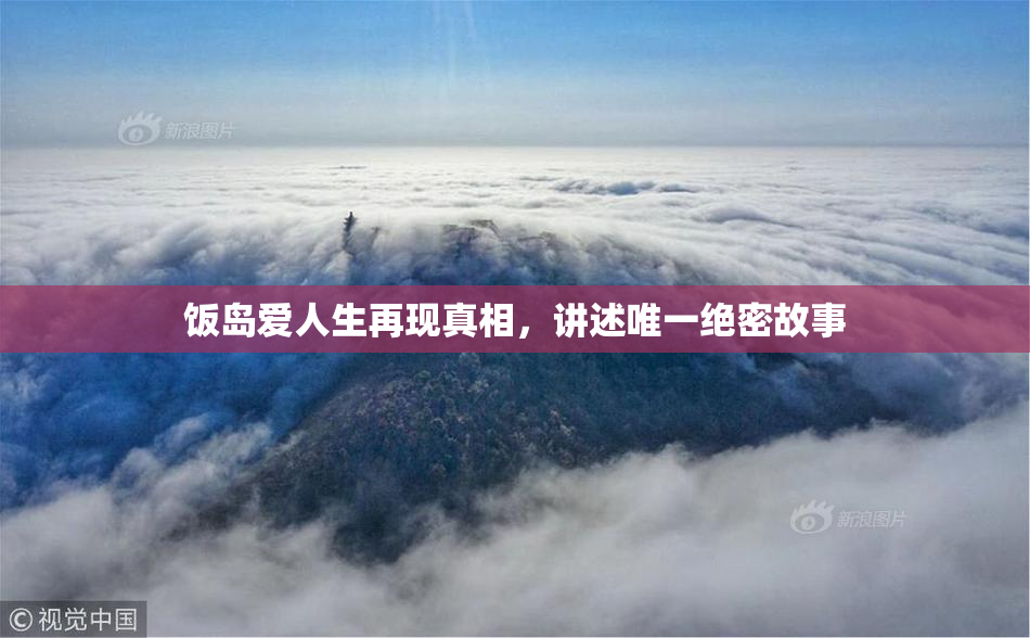 饭岛爱人生再现真相，讲述唯一绝密故事